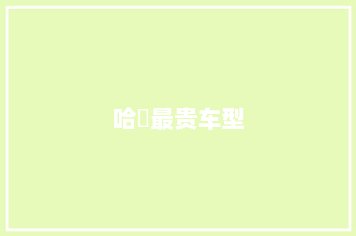 哈啰最贵车型