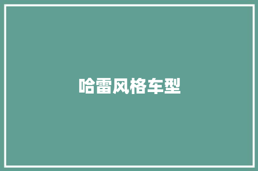 哈雷风格车型