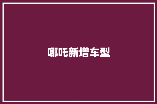 哪吒新增车型