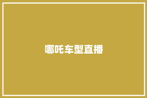 哪吒车型直播