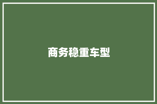 商务稳重车型