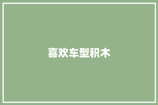 喜欢车型积木