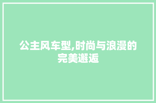 公主风车型,时尚与浪漫的完美邂逅