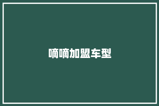嘀嘀加盟车型