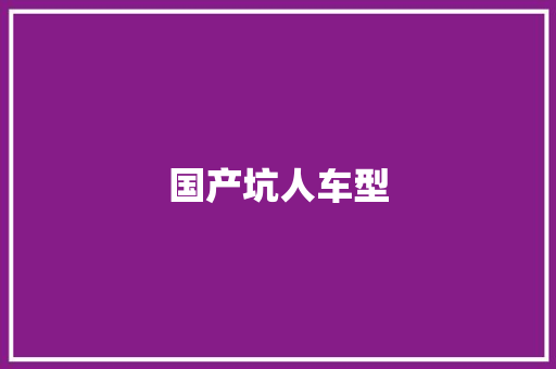 国产坑人车型