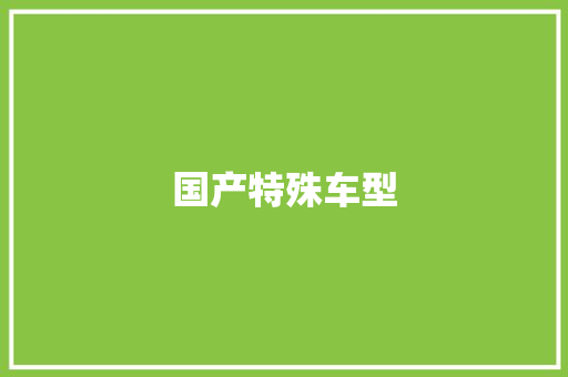 国产特殊车型 车灯配件