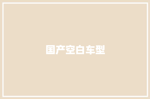 国产空白车型