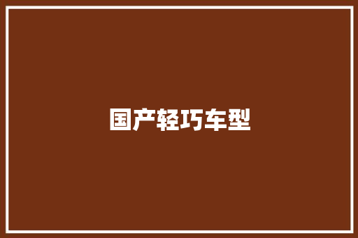 国产轻巧车型