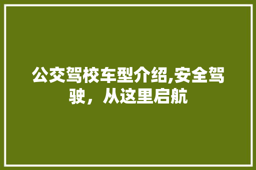 公交驾校车型介绍,安全驾驶，从这里启航