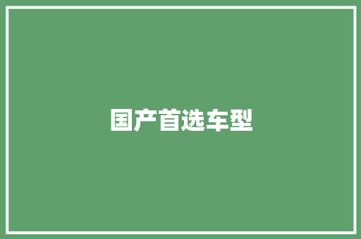 国产首选车型