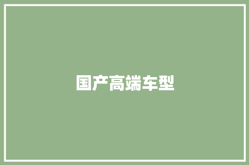 国产高端车型