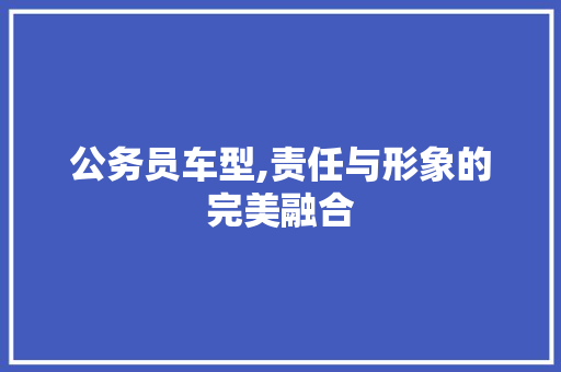 公务员车型,责任与形象的完美融合