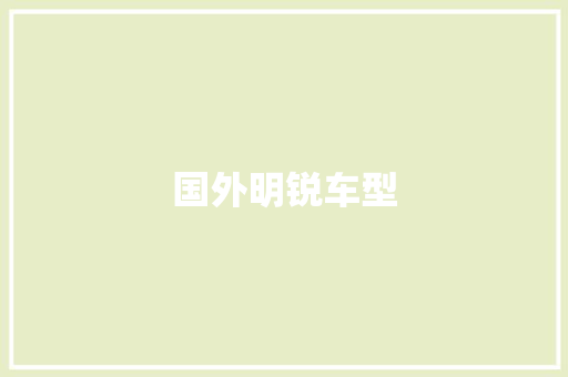 国外明锐车型