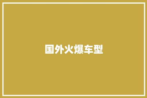 国外火爆车型