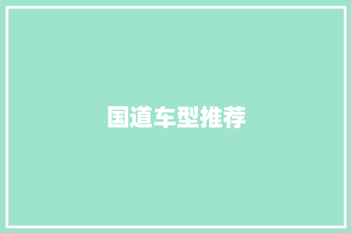国道车型推荐