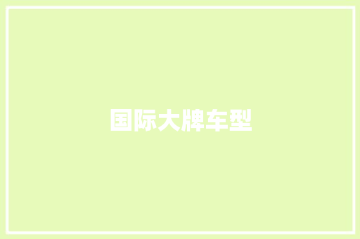 国际大牌车型