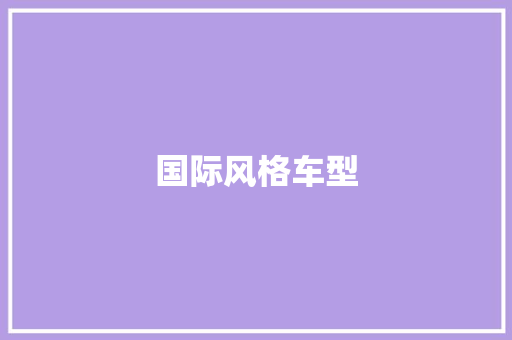国际风格车型
