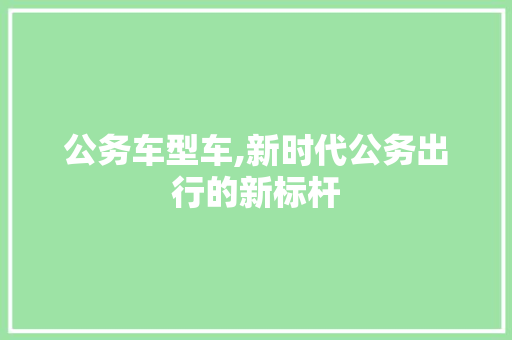 公务车型车,新时代公务出行的新标杆
