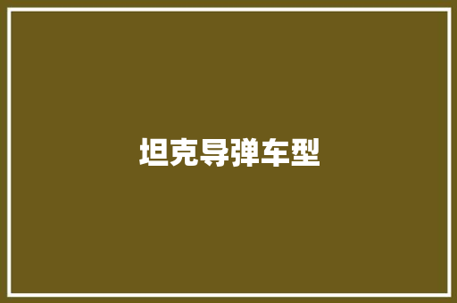 坦克导弹车型