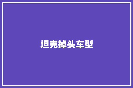 坦克掉头车型