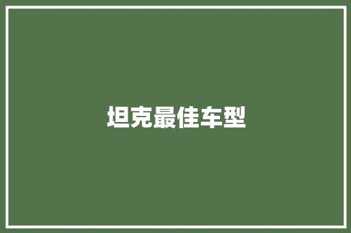 坦克最佳车型