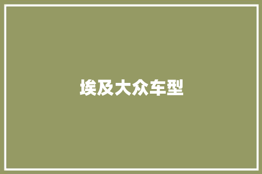 埃及大众车型