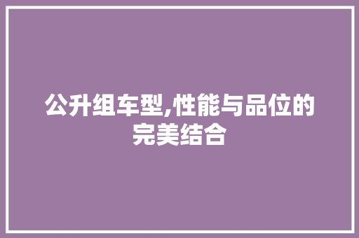 公升组车型,性能与品位的完美结合