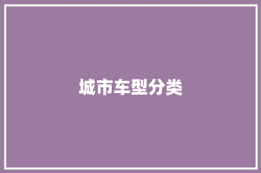 城市车型分类
