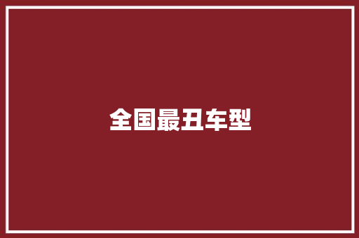 全国最丑车型