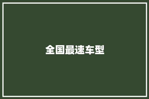 全国最速车型