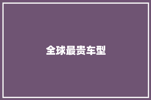 全球最贵车型