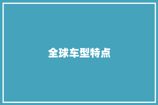 全球车型特点