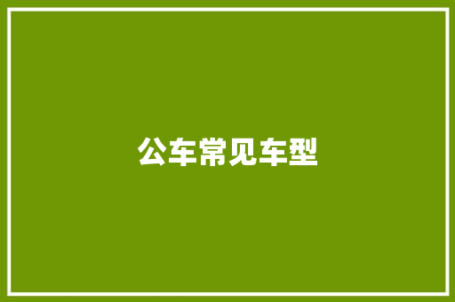 公车常见车型