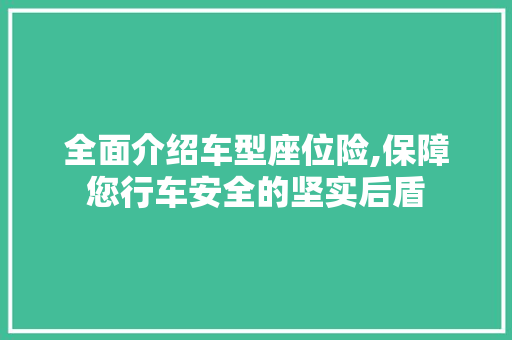 全面介绍车型座位险,保障您行车安全的坚实后盾
