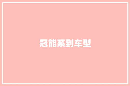 冠能系到车型
