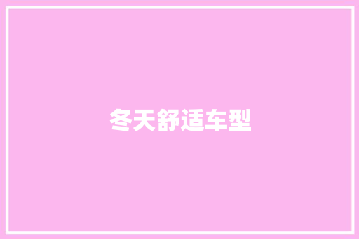 冬天舒适车型
