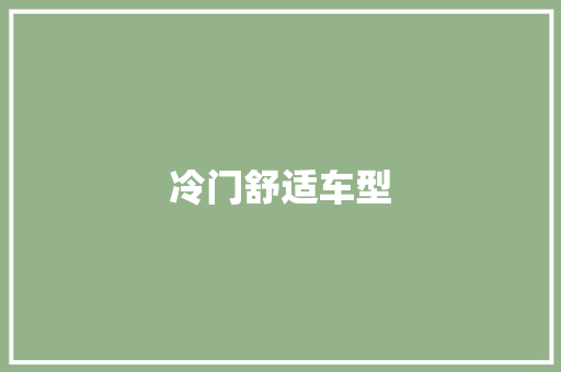 冷门舒适车型