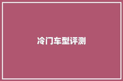 冷门车型评测