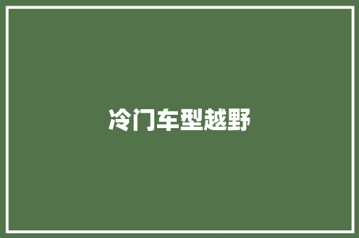 冷门车型越野