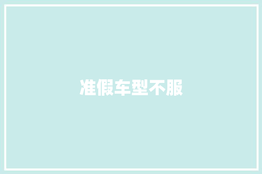 准假车型不服