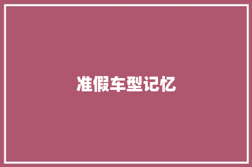 准假车型记忆