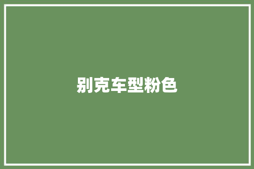 别克车型粉色