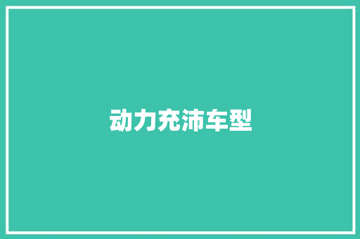 动力充沛车型