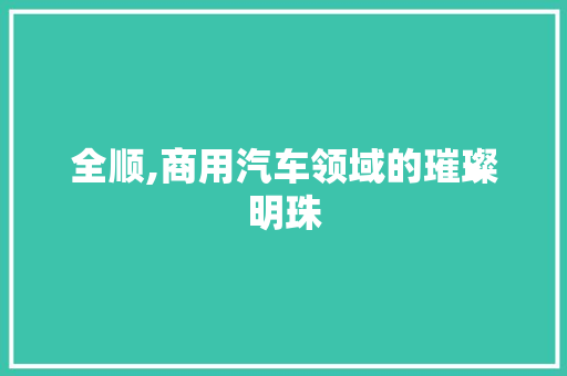 全顺,商用汽车领域的璀璨明珠