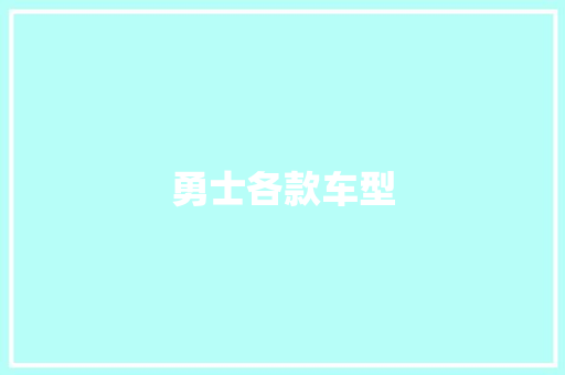 勇士各款车型