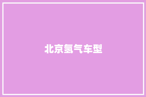 北京氢气车型