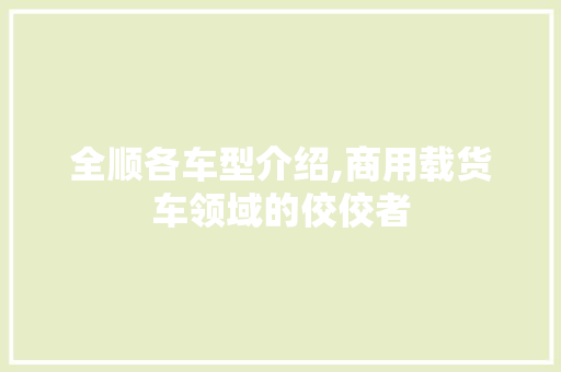 全顺各车型介绍,商用载货车领域的佼佼者