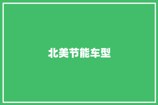 北美节能车型
