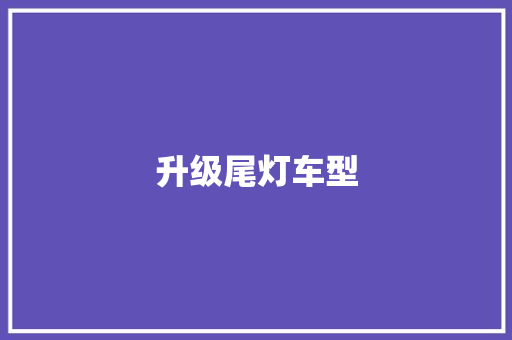升级尾灯车型