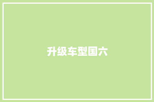 升级车型国六